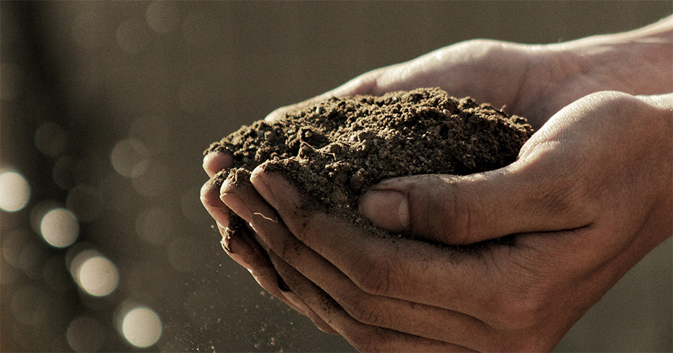 Soil